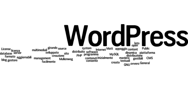 Vendere su Internet 5 cms wordpress