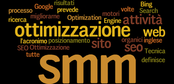 Vendere su Internet 2 social media manager